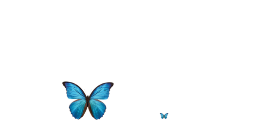 ANGELS REGENERATION MATRIX